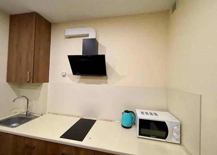 Apartments In Uzhgorod For You.